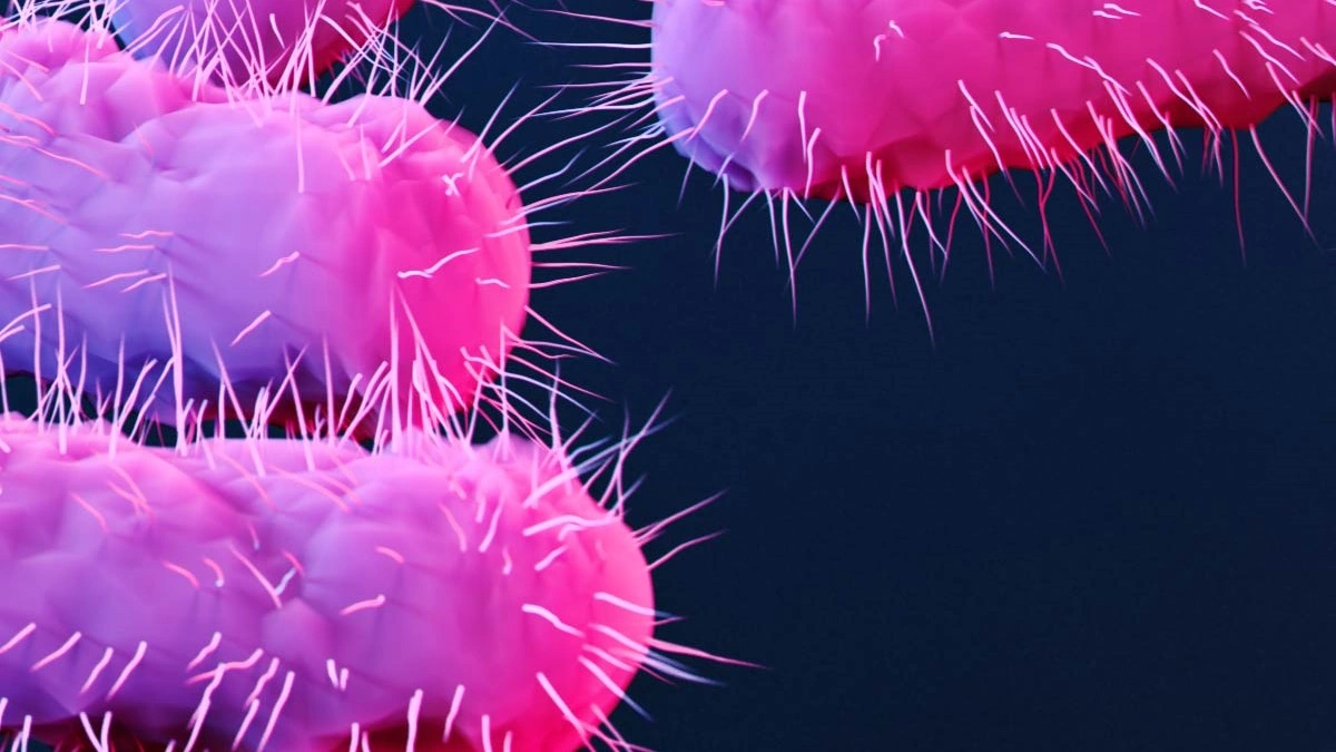 antimicrobial resistance
