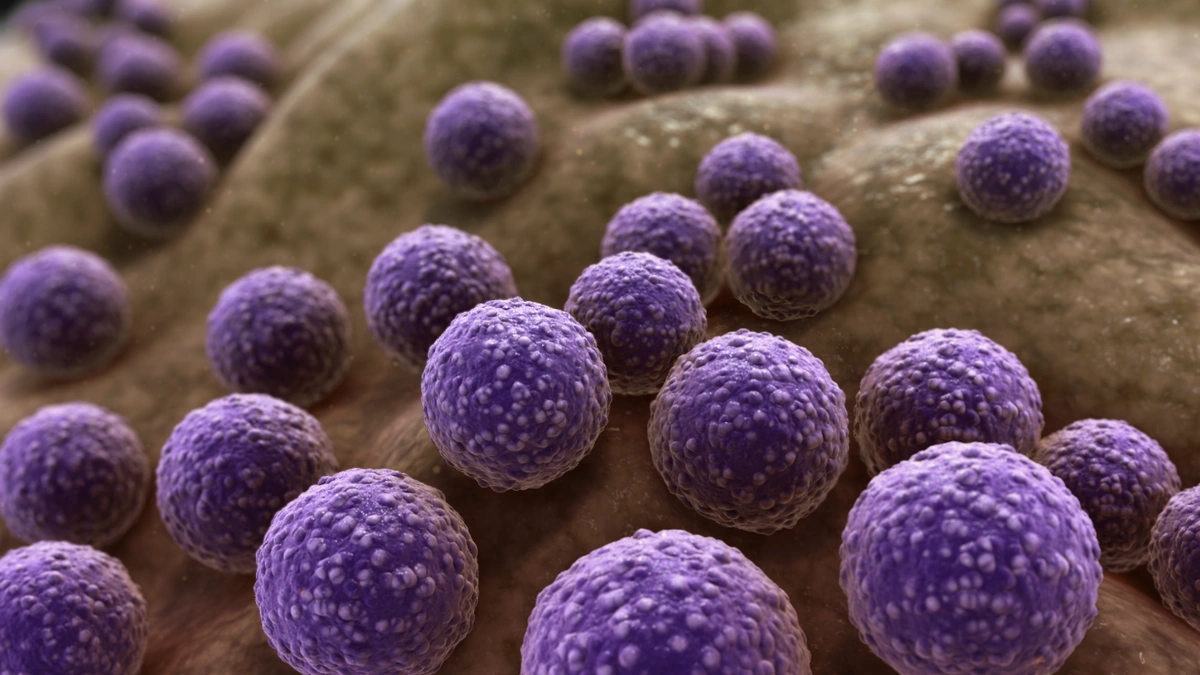 Anticipating Superbugs: Proactive Governance Against Antimicrobial Resistance 2 The Looming Shadow | Why AMR Matters in India