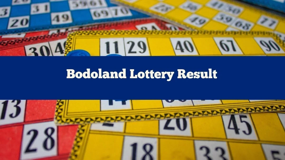 The Emotional Rollercoaster of Lottery Results