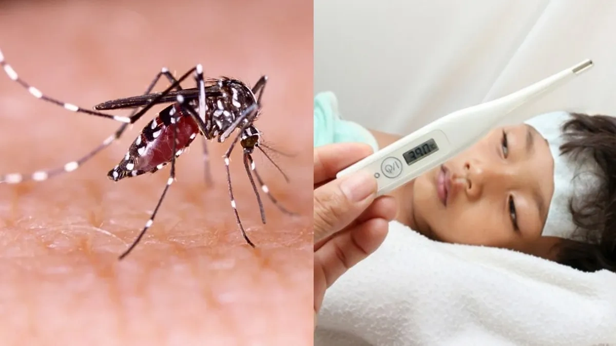 Why Heavy Rain is a Dengue Booster