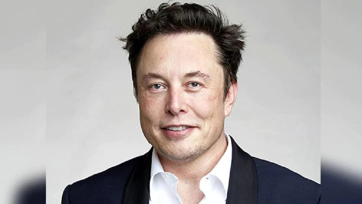 The Rollercoaster Ride of a Tech Billionaire