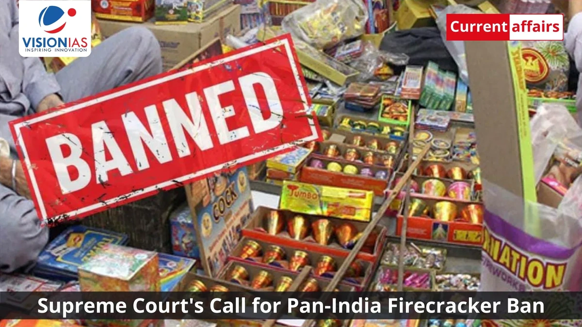 firecracker ban