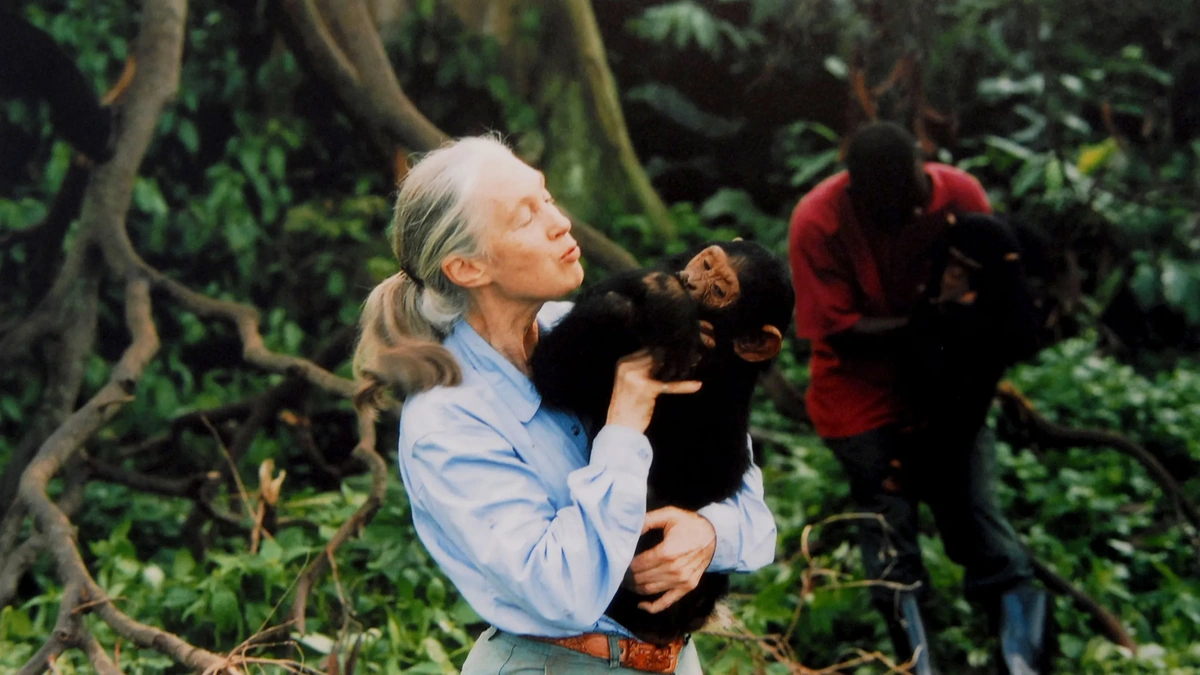 Understanding Jane Goodall's Groundbreaking Approach