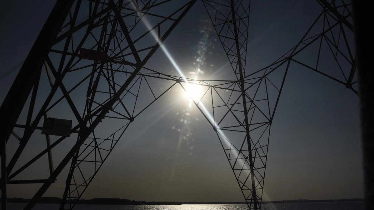 power distribution privatisation