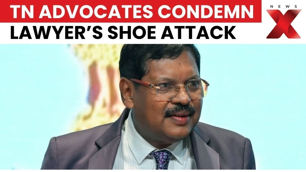 The Mother's Voice | A Personal Plea or Political Statement?