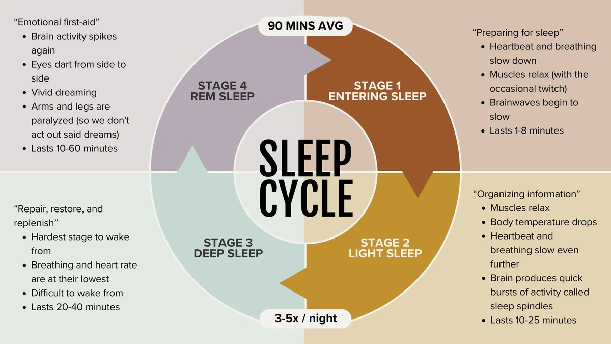 sleep patterns