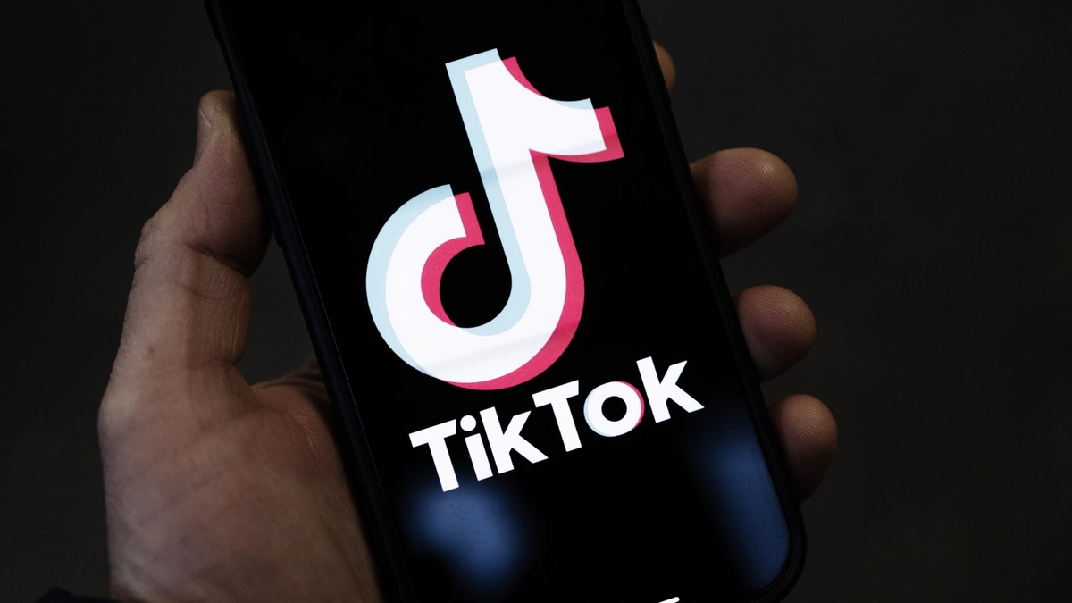 The Algorithm:TikTok's Secret Sauceand How It Hooks You