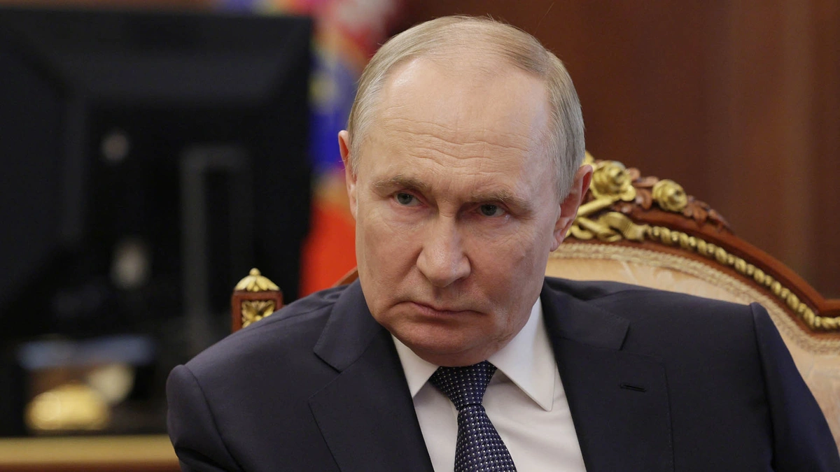 vladimir putin