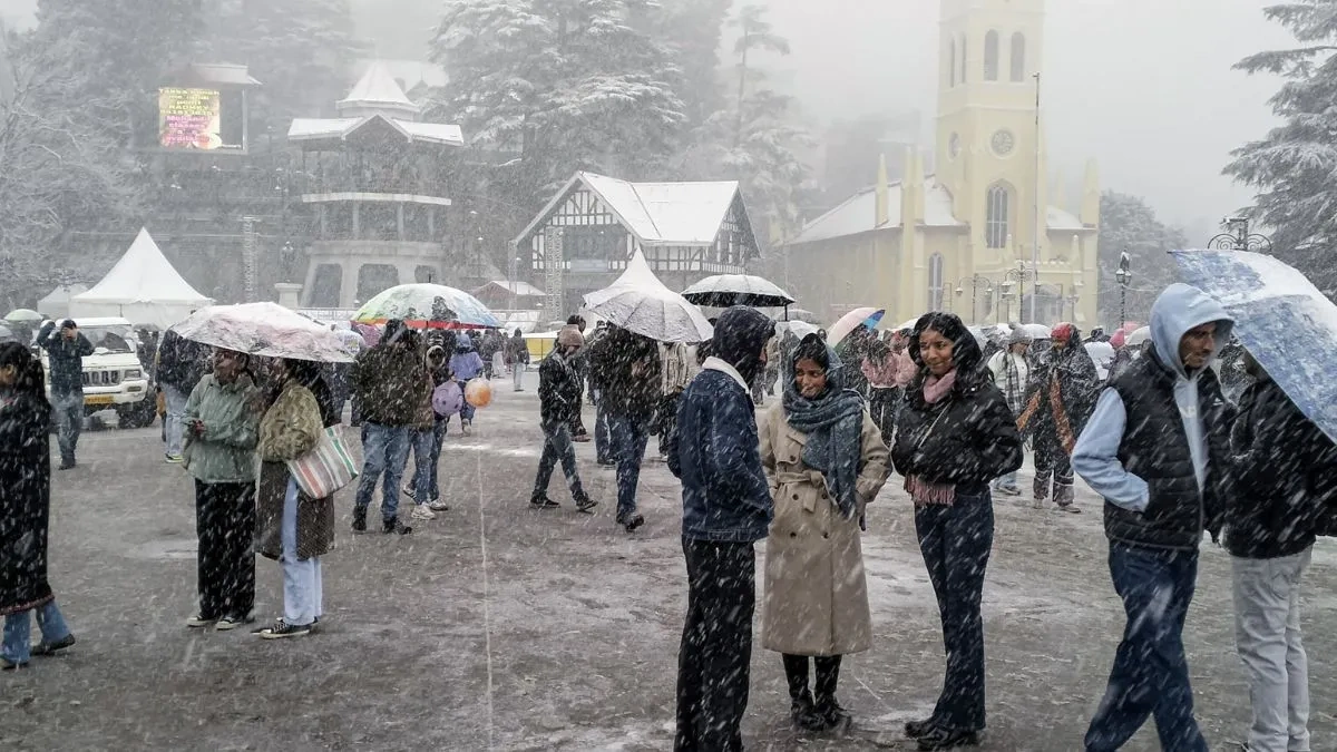 weather shimla