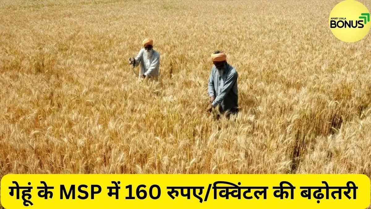 What Exactly IS the Wheat MSP? And Why Should I Care?