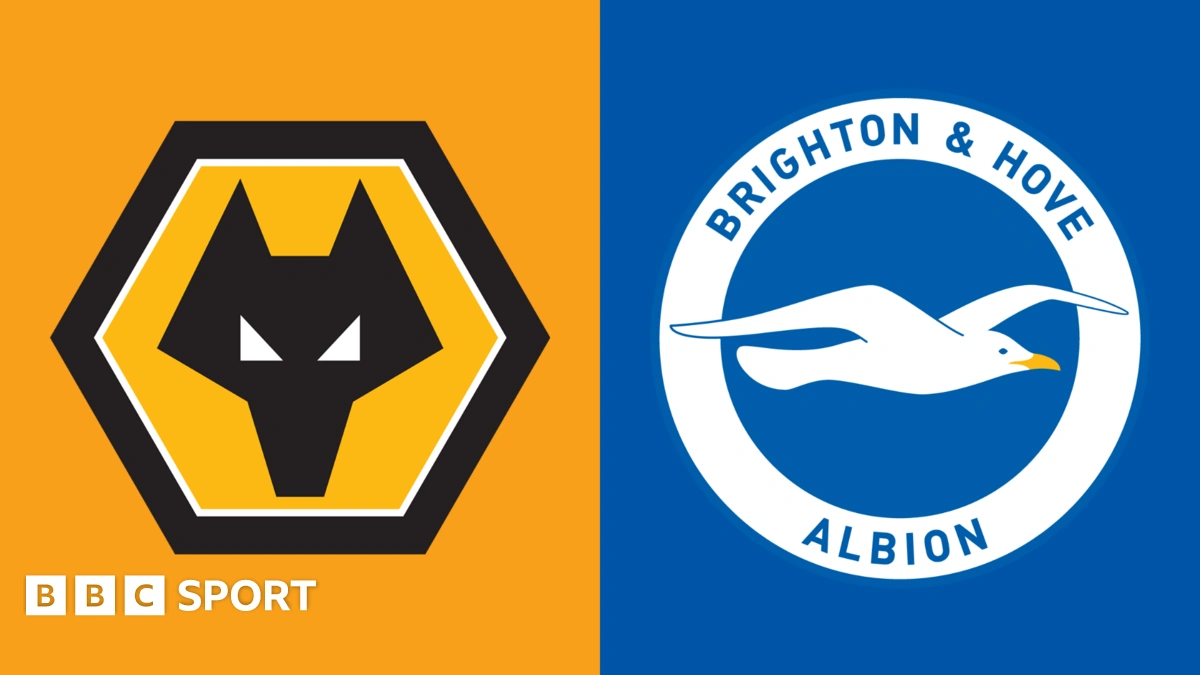 wolves vs brighton