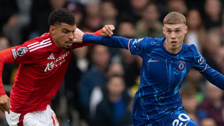 The Premier League Rollercoaster | More Than Just Goals and Glory 1 football premier league