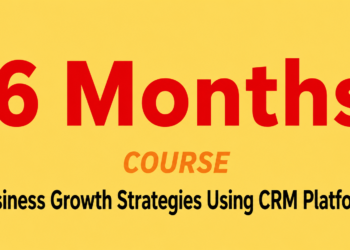 6 Months Business Growth Strategies Using CRM Platforms